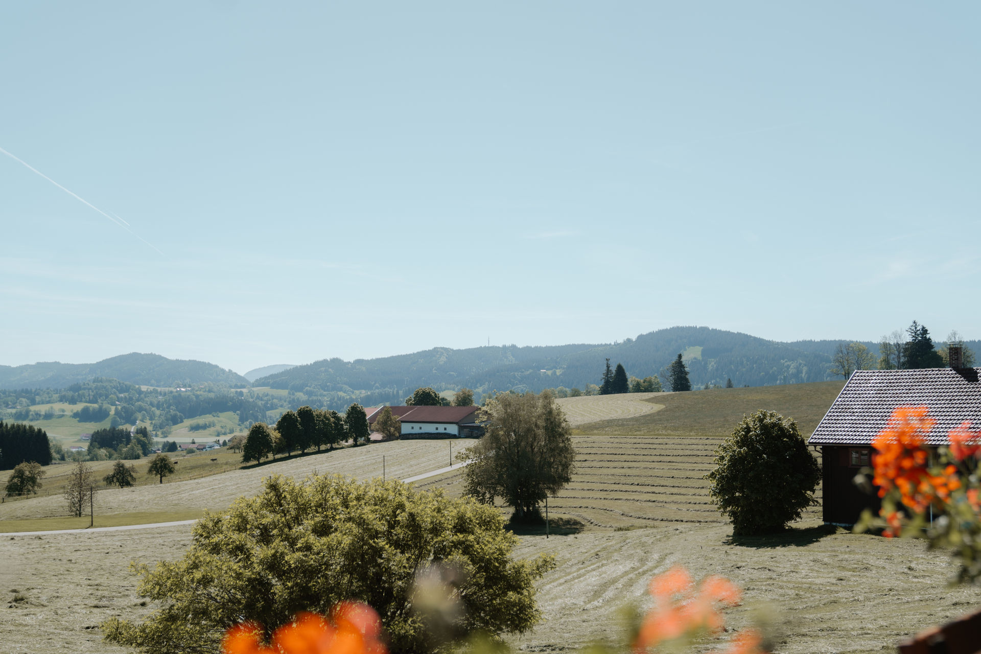 Kugelblick Aussicht
