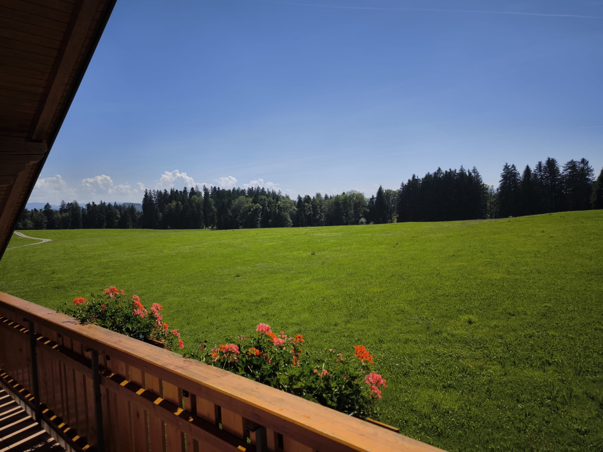 Waldeck Aussicht